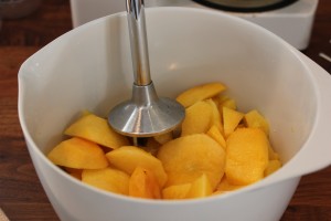 Mango og nektrainerne får en gang med blenderen..