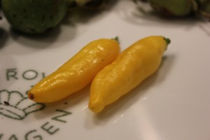 Chilisnaps med aji chili