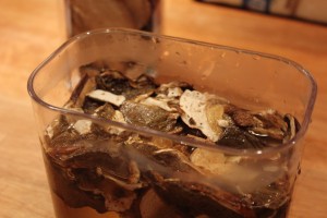 Porcini svampene i lunkent vand - risotto med svampe