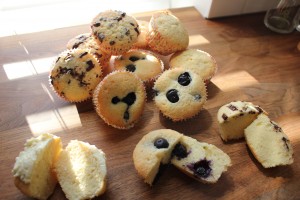 Citron muffins med citronskald, blåbær og chokolade